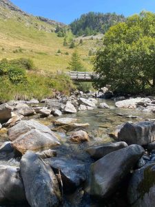 rivière de montagne